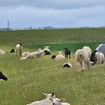 Lejlighed Suedwind Norddeich *