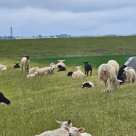 Lejlighed Suedwind Norddeich *